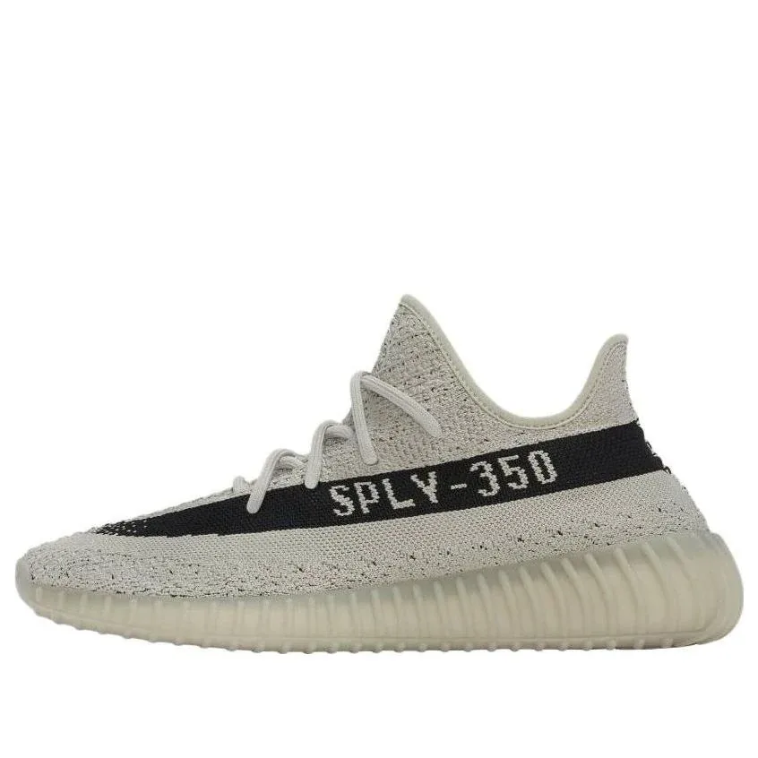 adidas Yeezy Boost 350 V2 "Slate"