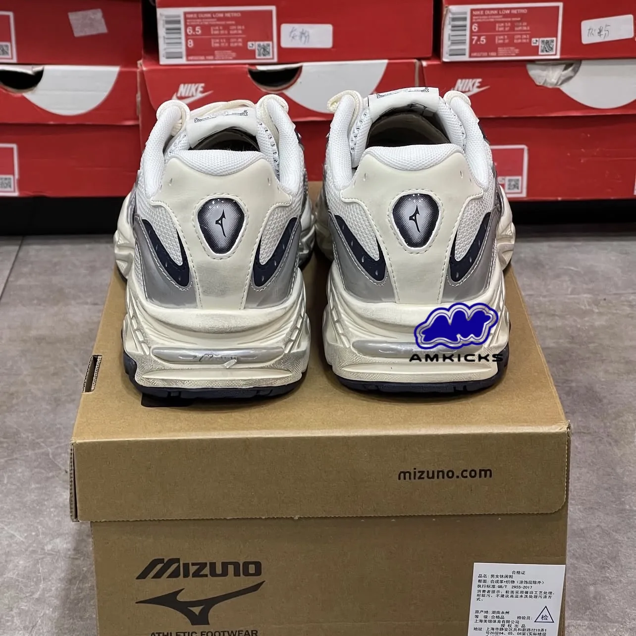 Mizuno ADVENTURE V2 "Dust Cream Silver"