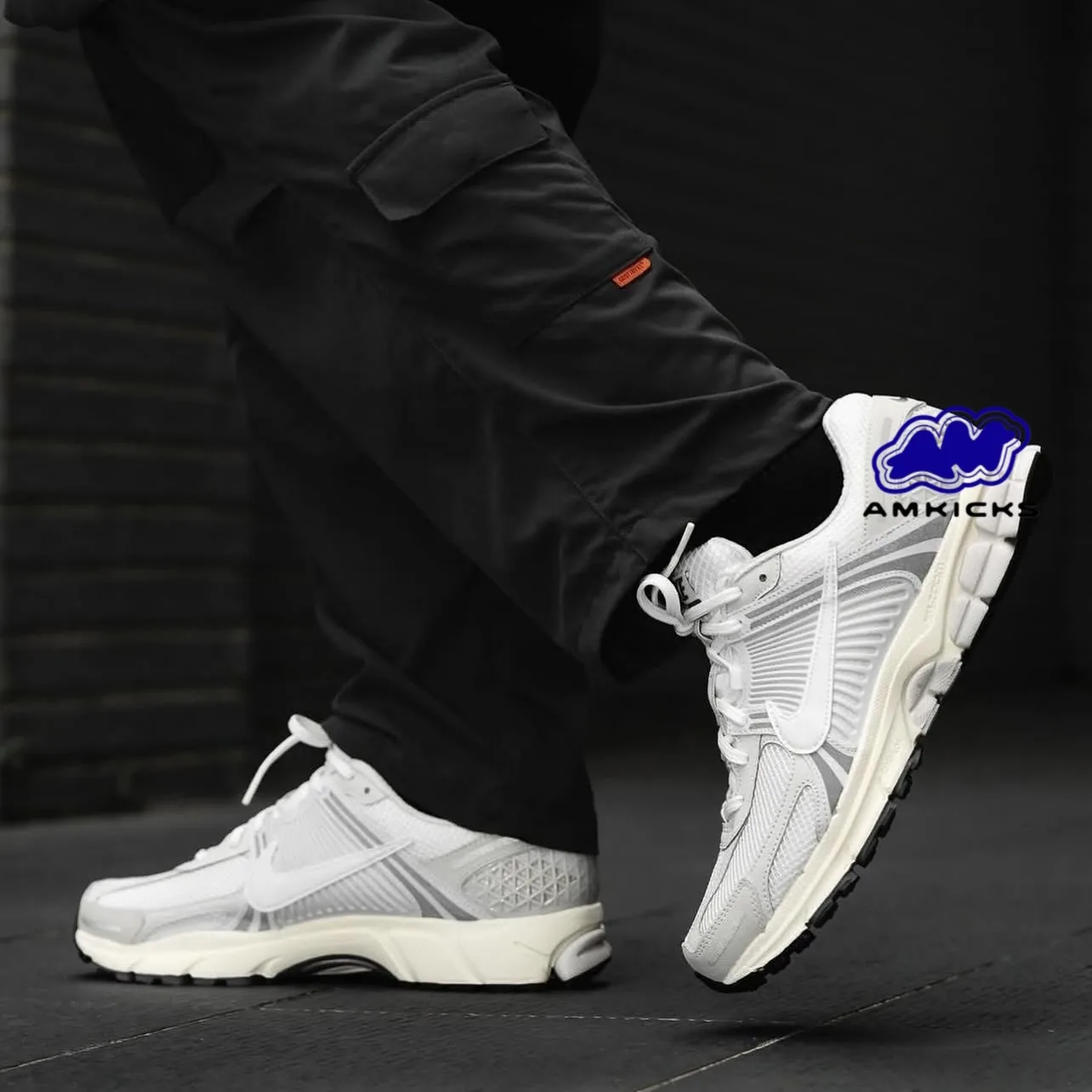 Nike Zoom Vomero 5 "Platinum Tint"