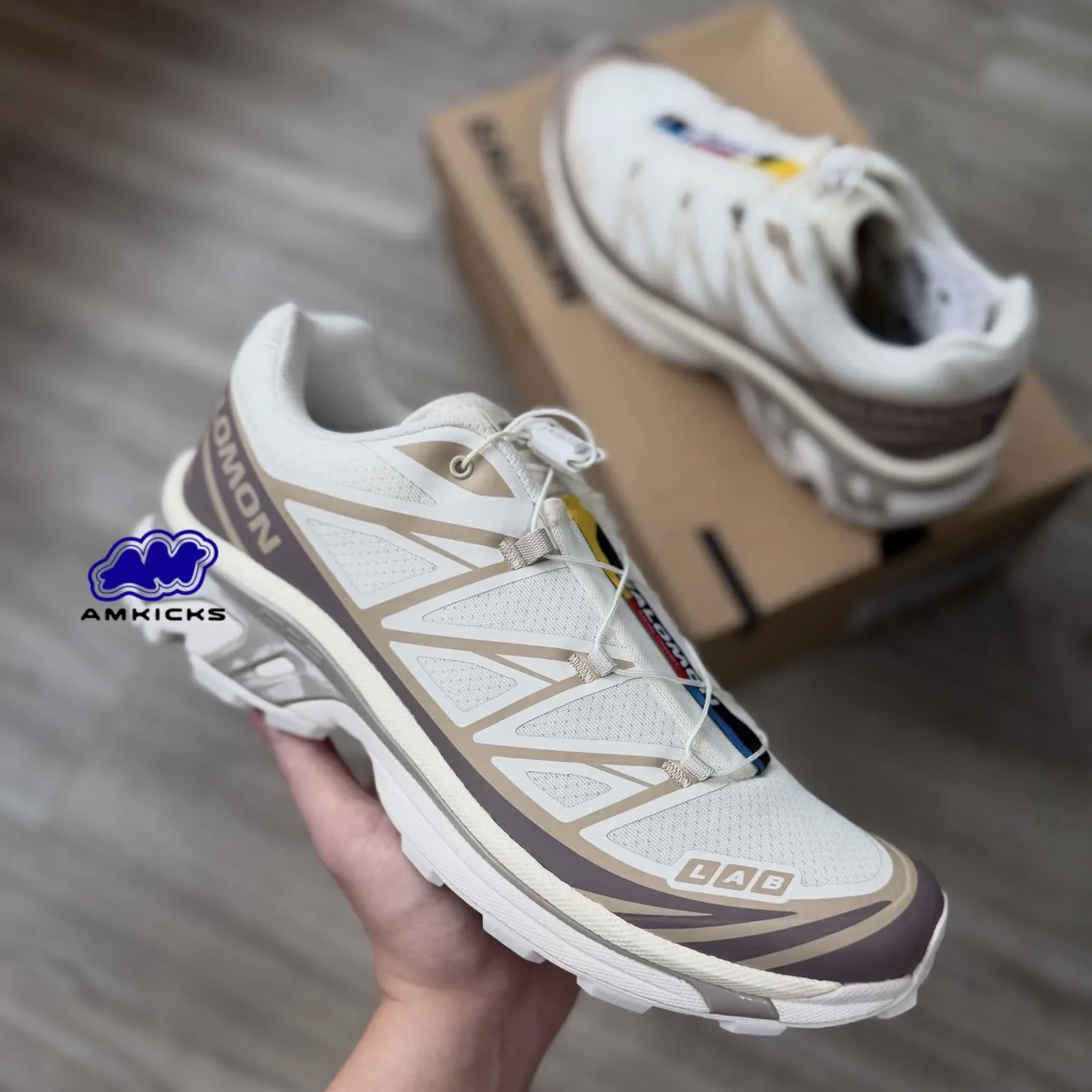Salomon XT-6 "Vanilla Ice Iron Etherea"