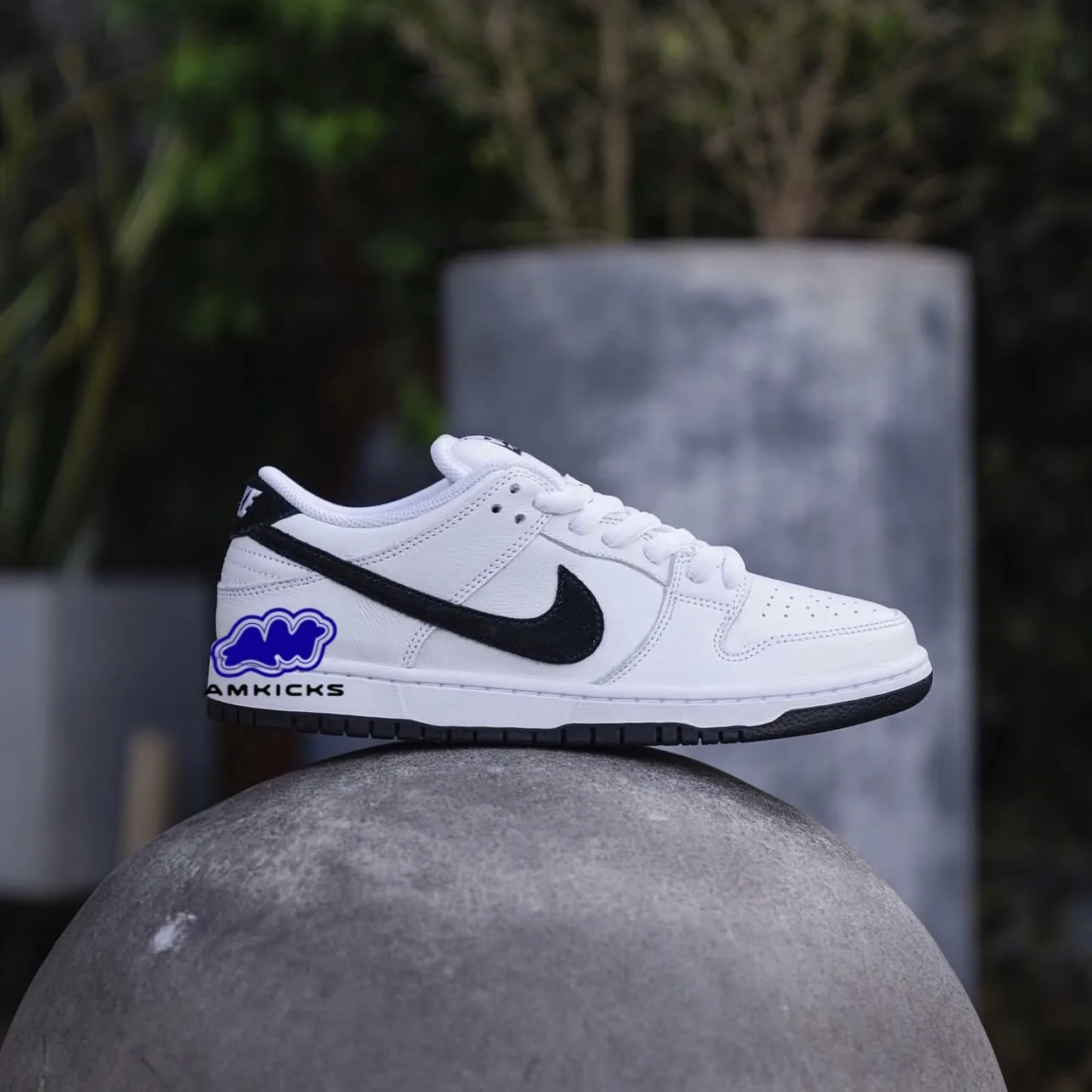 Nike SB Dunk Low "White Black"